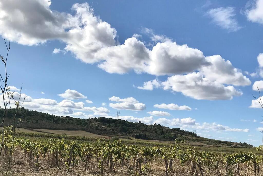 Appartement Le Jutini Caunes-Minervois Екстер'єр фото